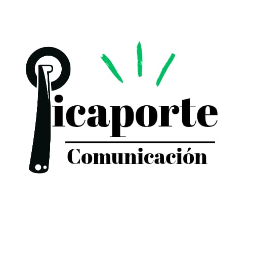 Logo Picaporte